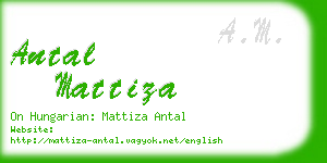 antal mattiza business card